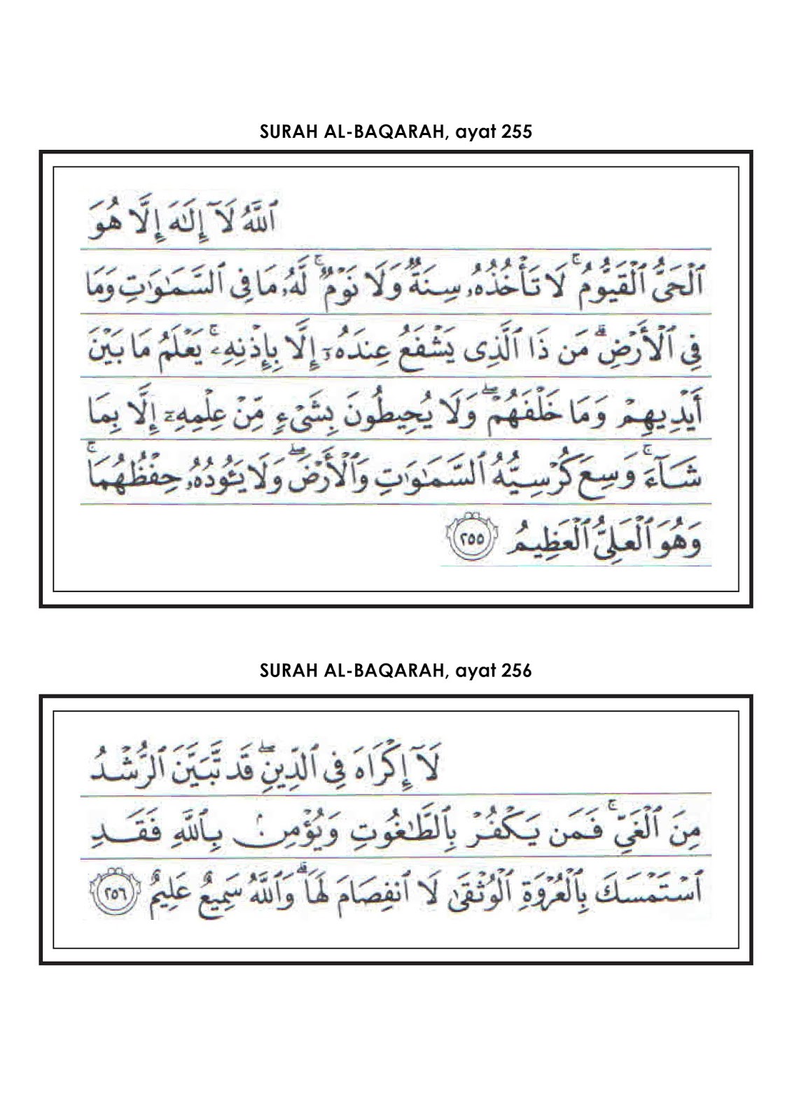 ayat manzil pdf ayat manzil pdf