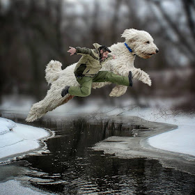 10-Oh-No-Christopher-Cline-Juji-The-Giant-Dog-Photo-Manipulations-www-designstack-co