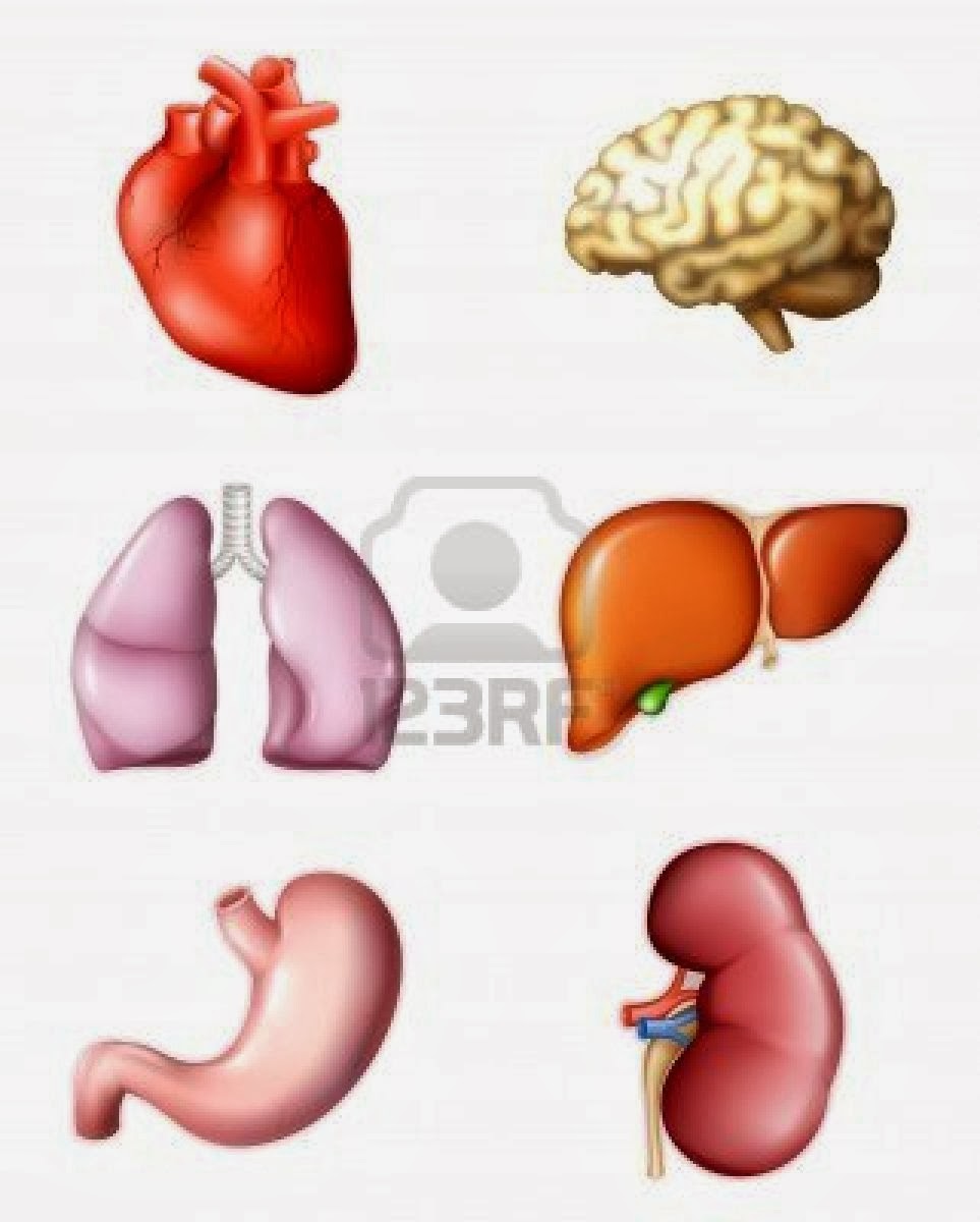 DESARROLLO FÍSICO Y SALUD LAS TICs