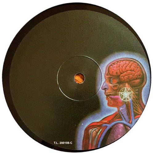 ReviewsDelRockyMetal TOOL "Lateralus" (Volcano Tool Dissectional 2001)