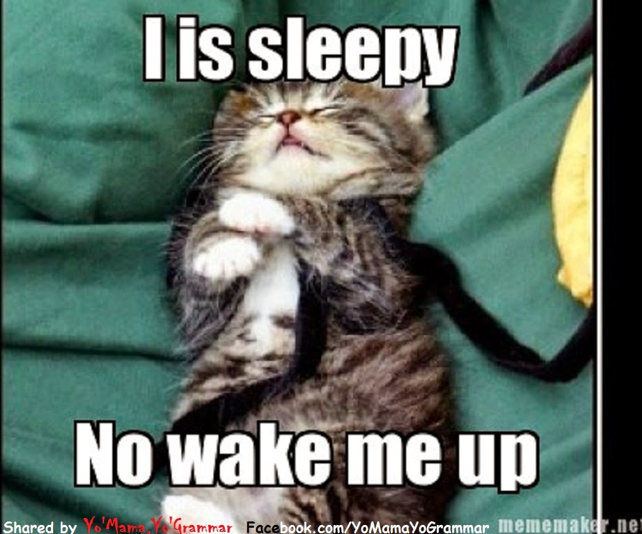 I can t sleep well. Feel Sleepy. Sleepy meme. I need more Sleep кот. Sleepy Cat meme.