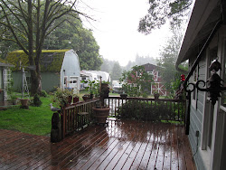 cozy rainy summer why raspberry jam crocheted drink moss grass tree