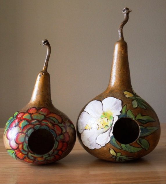 painted birdhouse gourds