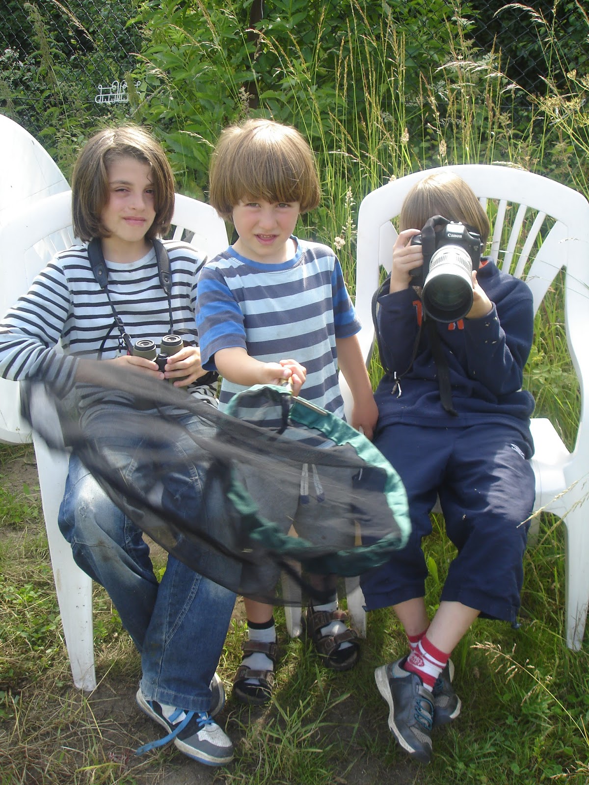 NonStop Birding High Summer at Beddington Farmlands