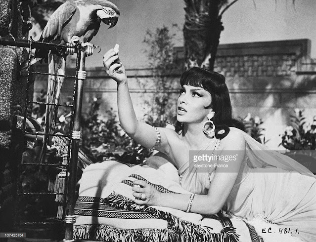 Кадр из фильма Царь Соломон и царица Савская (1959 год). В роли царицы - Джина Лоллобриджида.