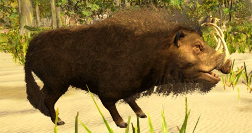 Atlas Pig Pig