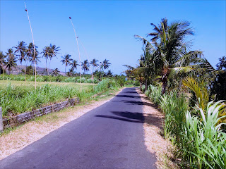 A Small Street In The Village At Banjar Kuwum, Ringdikit, North Bali, Indonesia