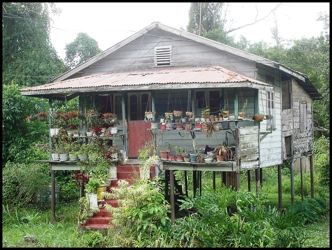 Go Trinidad And Tobago Wordless Wednesday