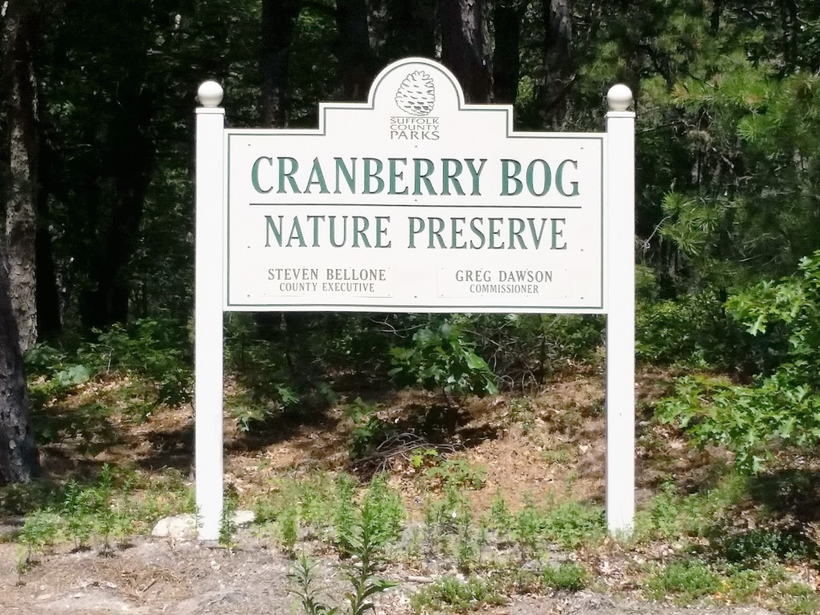 A Mike Who Likes to Hike