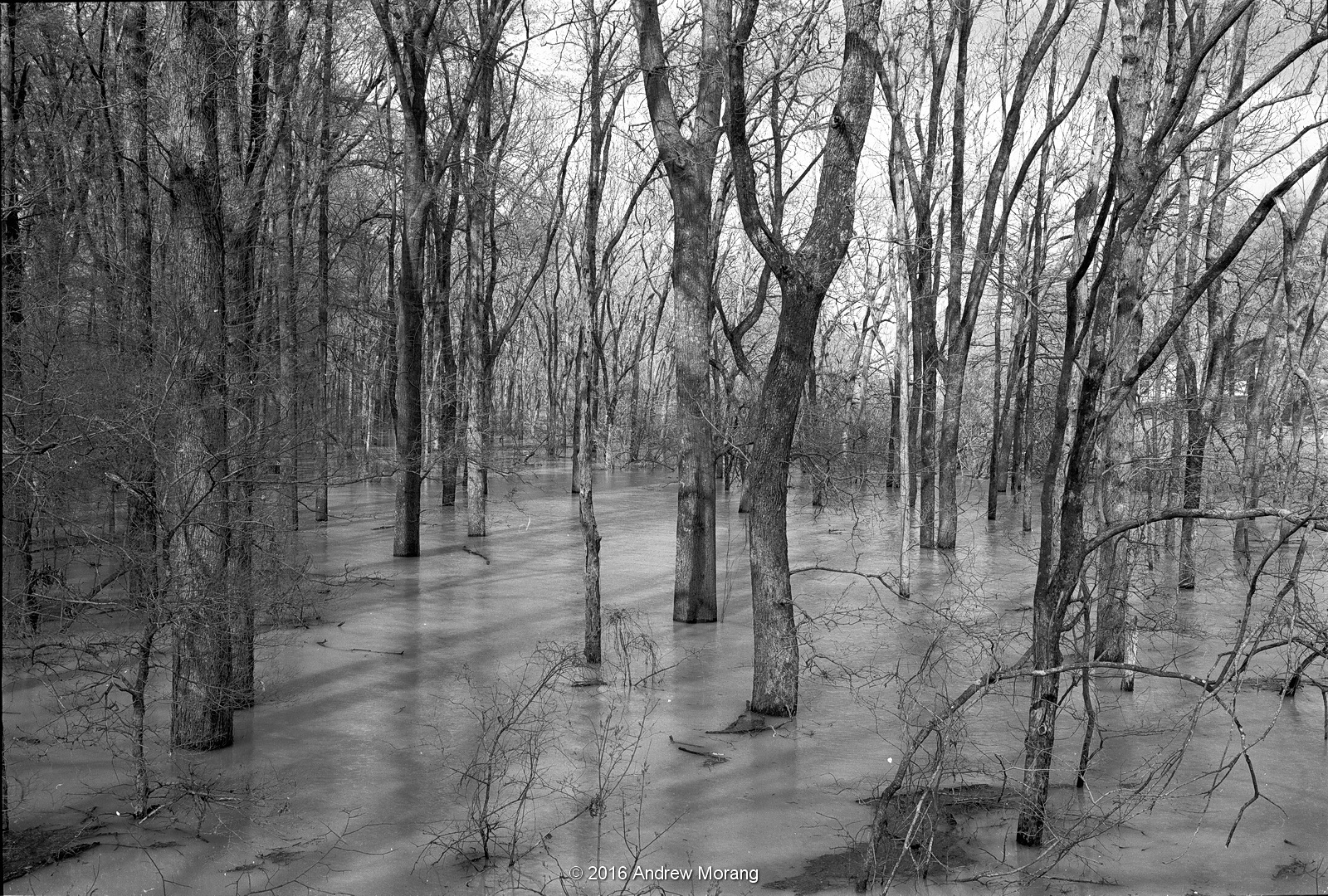 Urban Decay The Mississippi Delta 23 City