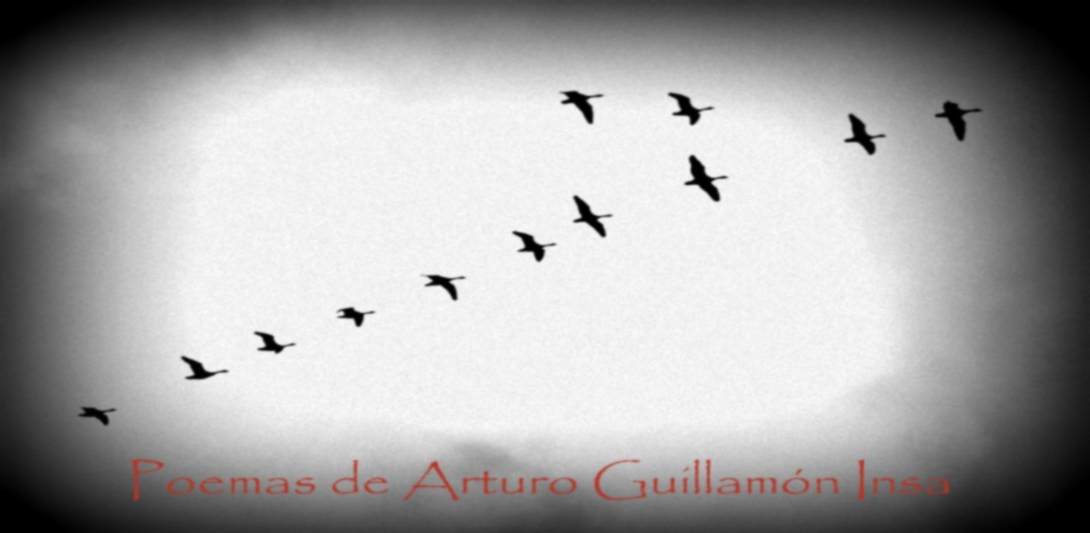 Poemas de Arturo Guillamón Insa