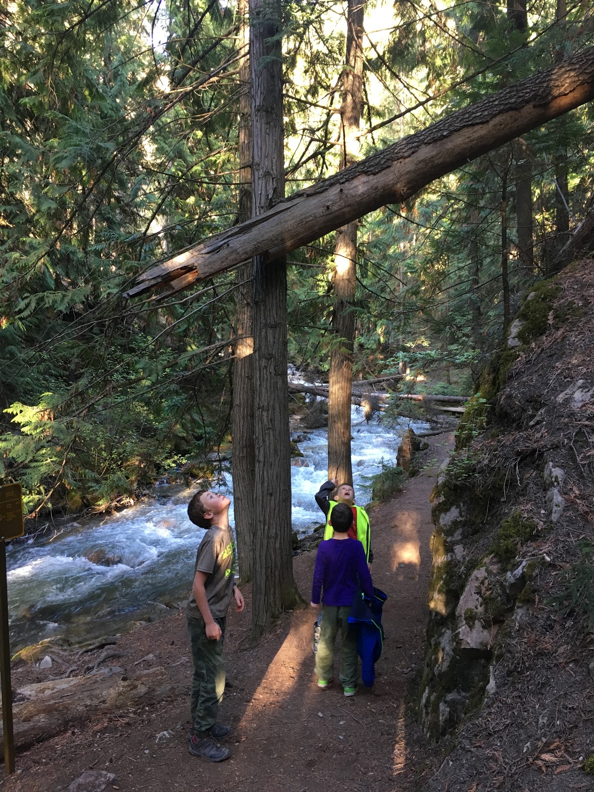 sinclair canyon hike