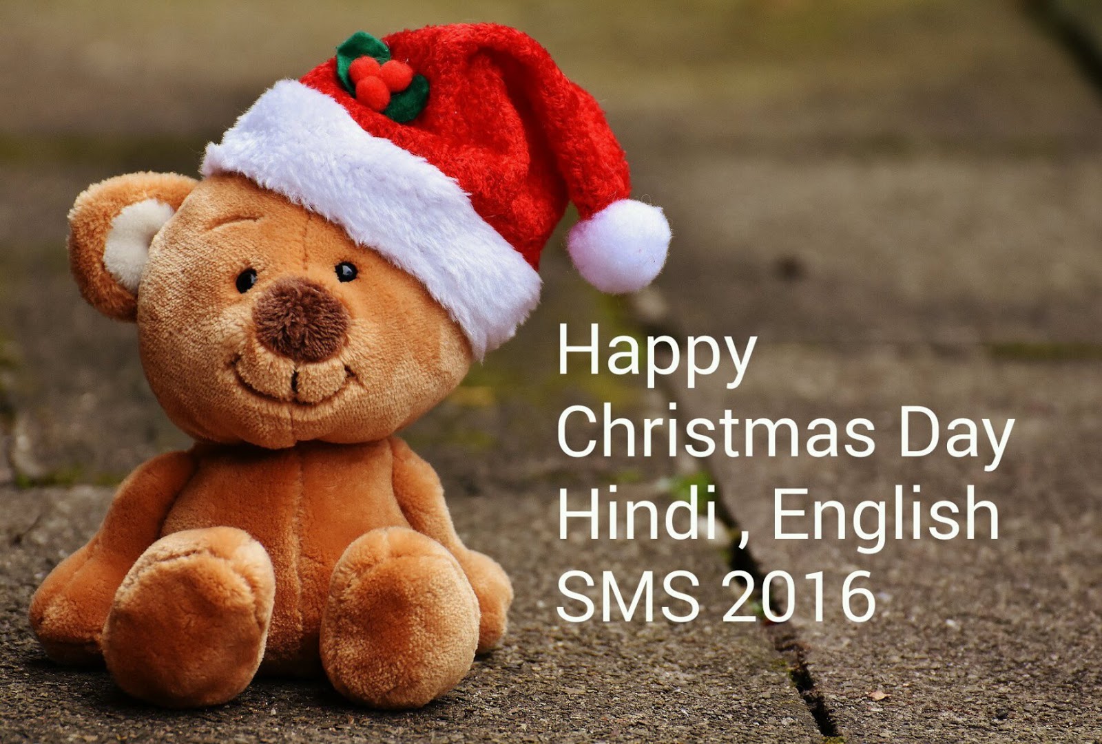 Happy Christmas Day Or Santa Claus Hindi English Sms Shayri Jokes In 2016 To 2017 Sonurajput Com