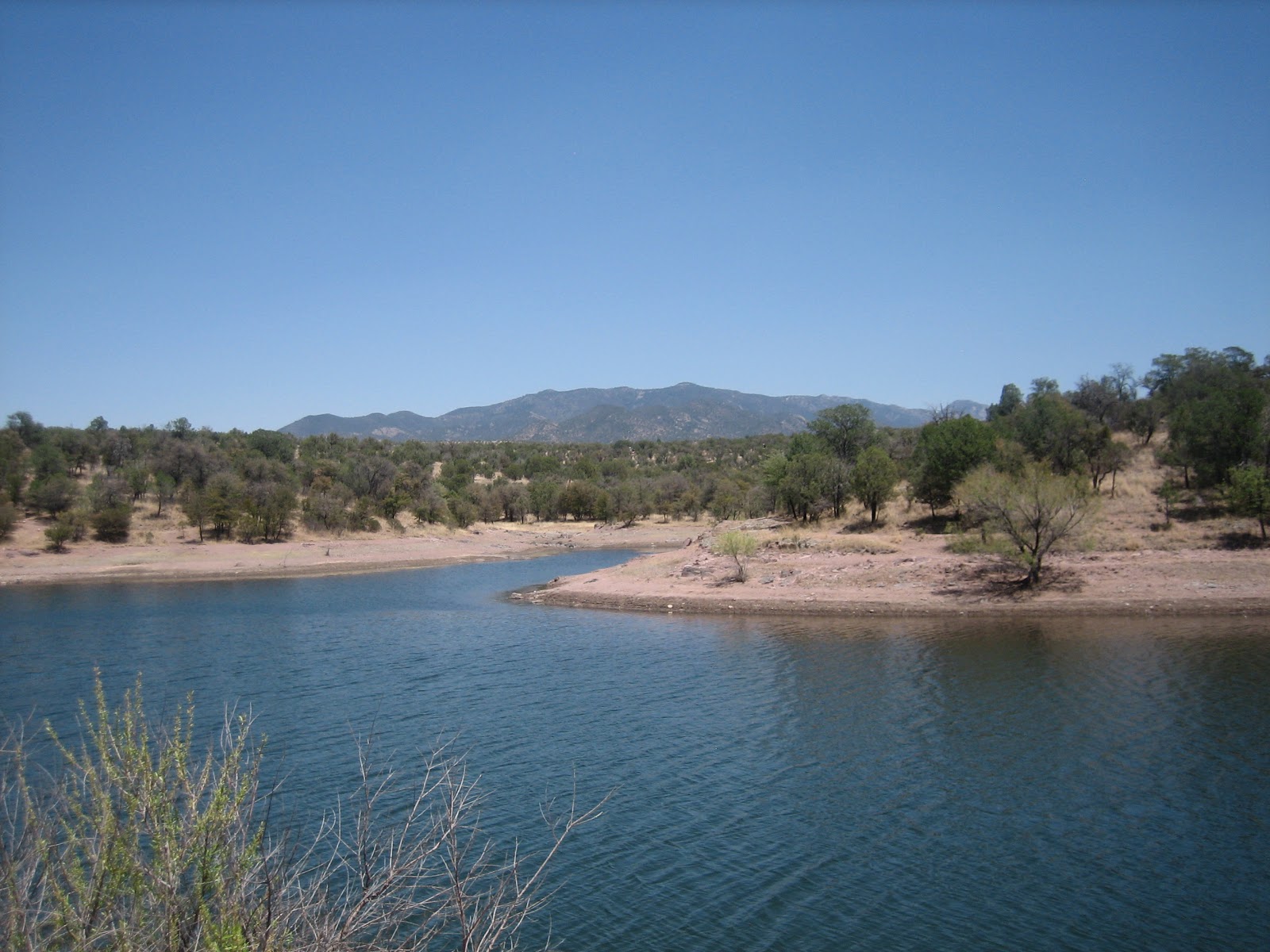 Adventures of the Pack Parker Canyon Lake Hike