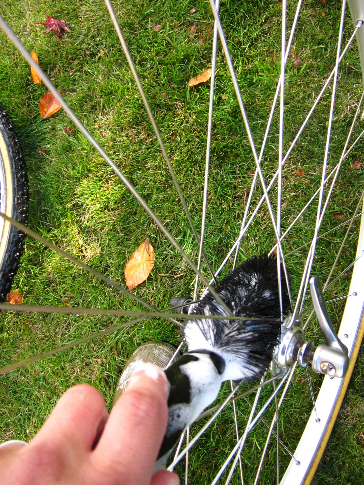 Big E's Cycling How To Wash Your Bicycle