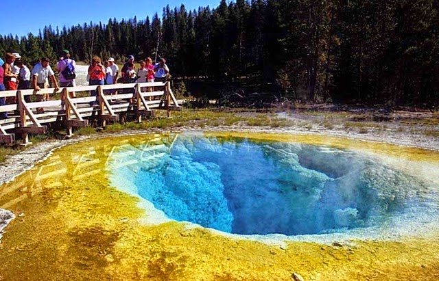 Morning Glory Pool at Yellowstone National Park, Wyoming USA