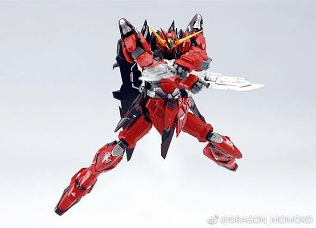 DM MG 1/100 ZGMF-X12A Gundam Testament 