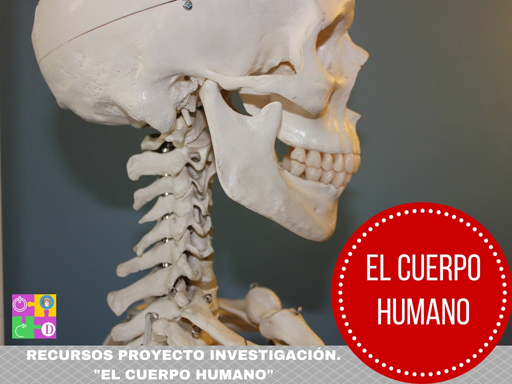 Recursos "Cuerpo Humano"