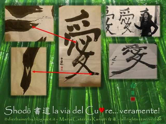 Shodō 書道 - La Via del Cu♥re...veramente! Docente del Corso di Erboristeria “Di Erba in Erba©” Cromoterapeuta - Cromoestetica Floriterapeuta Mediterranea - esperta di Cosmesi naturale personalizzata, Consulente naturopata - vasta esperienza anche con bimbi e anziani - Istruttore di “Tài jí quán - 太极拳” e di “Tai Chi Kung” dello Stile Yang, della International Family Tai Chi Chuan blogger http://dierbainerba.blogspot.it - © Maria Caterina Ranieri 白蓮 – all rights reserved ॐ