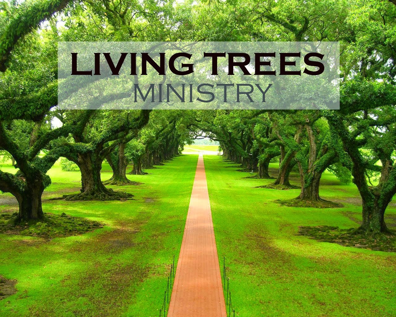 LIVING TREES MINISTRY