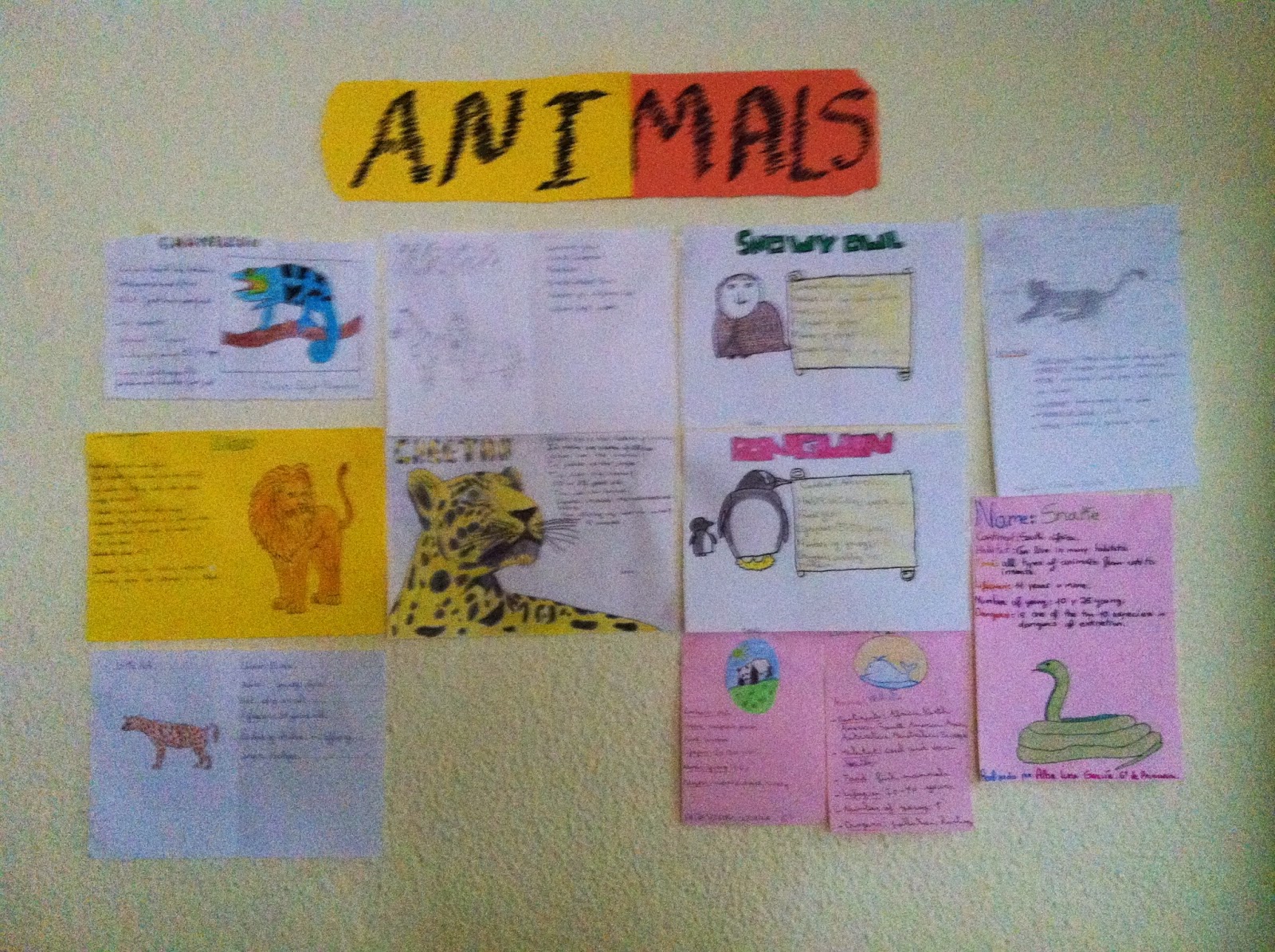 6th GRADE OF PRIMARY EDUCATION : Habitats and their animals