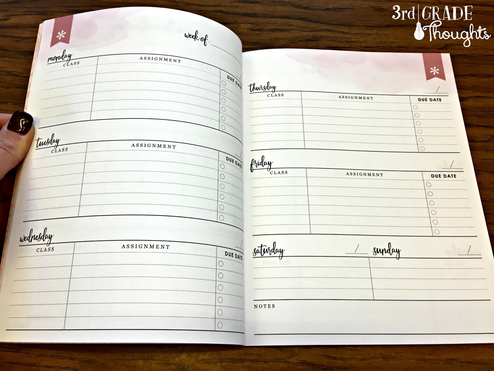 Exploring Erin Condren's Academic Planner & More... 3rd