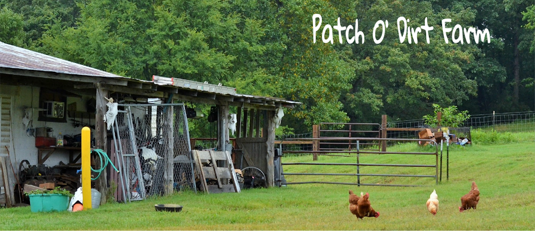 Patch O' Dirt Farm