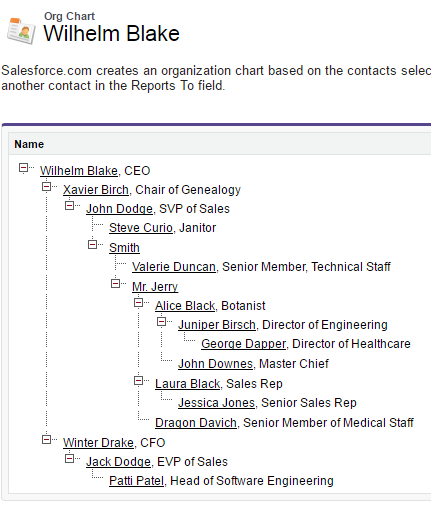 How To Create Organizational Chart In Salesforce