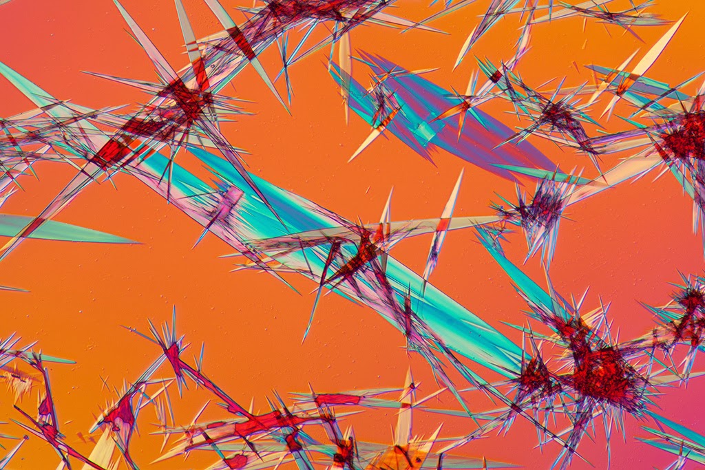 Food coloring under microscope