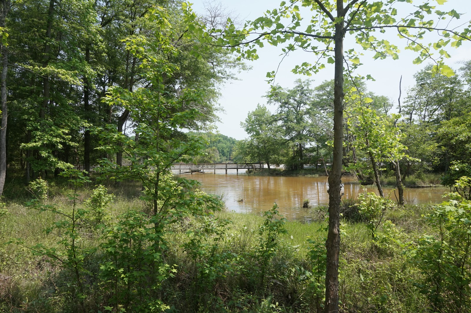 Kiki Nakita Hiking In The Uwharrie National Forest