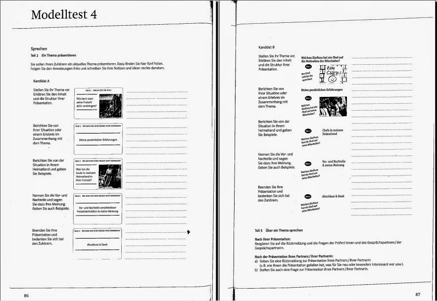 Mit Erfolg zum Goethe/ÖSD Zertifikat B1 | ~ ~ Deutsche Bücher