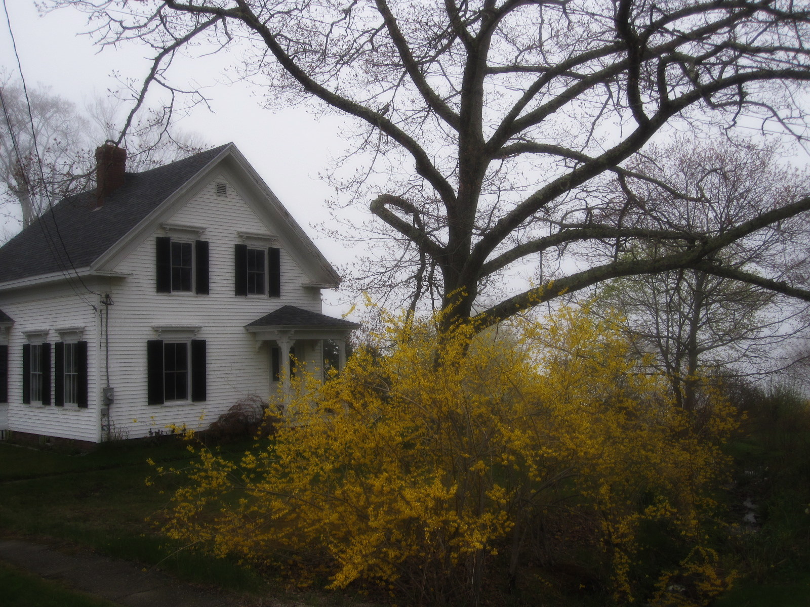 A Plein Air Painter's Blog Michael Chesley Johnson Interlude in