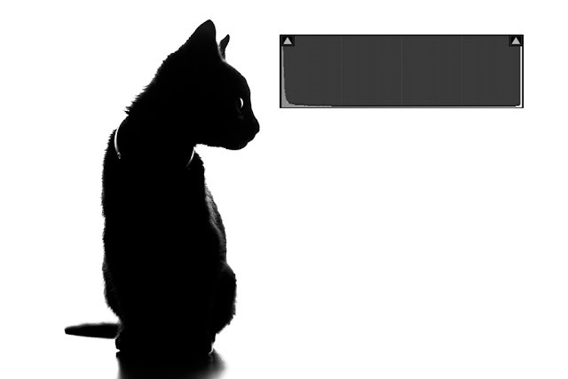 Sobre las claves tonales - Bitonal