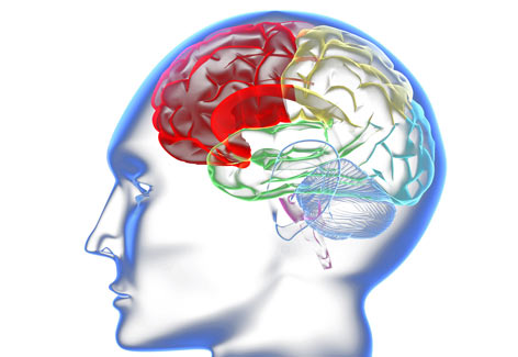иммунитет мозга. организм человека ,микробы и вирусы. иммунитет мозга. иммунитет мозга. что такое лимфа у человека.