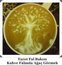 Kahve Falinda Agac Gizli Ilim Ve Insan