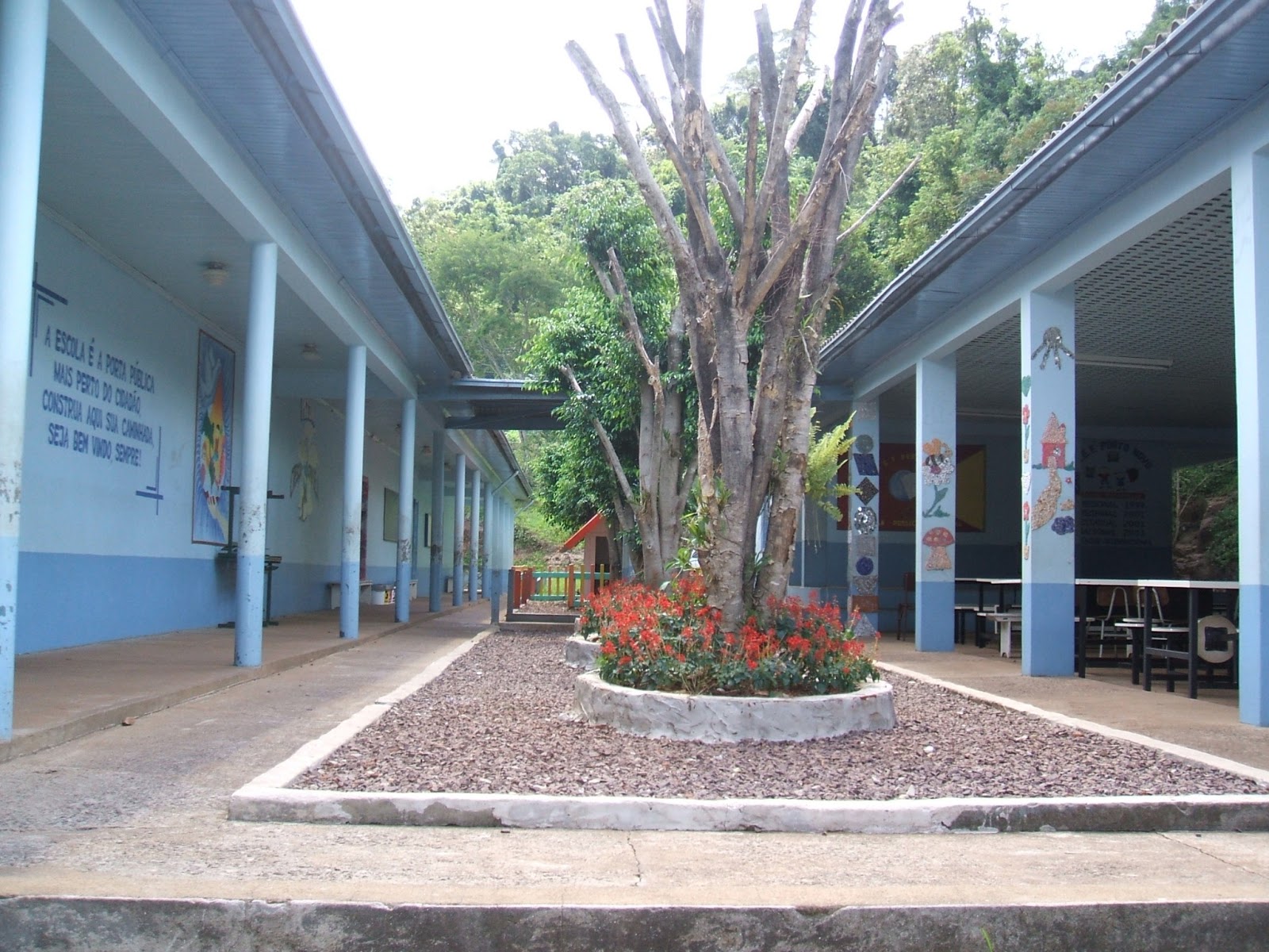 Escola de Ensino Fundamental PORTO NOVO : Histórico da Escola
