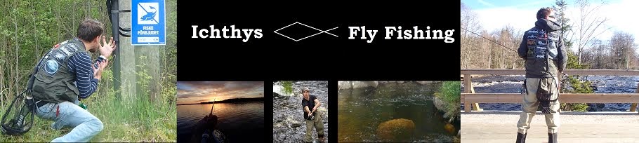 Ichthys Fly fishing