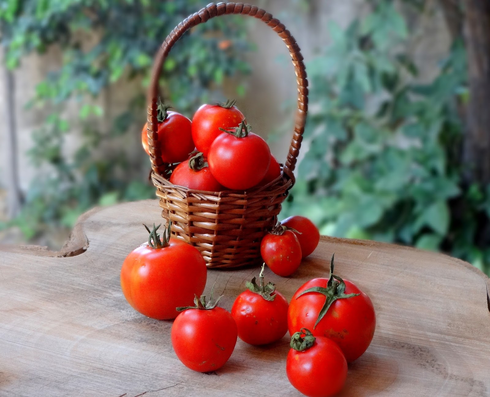 Tomato Herb Focaccia Ambrosia