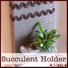 succulent holder