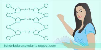 Pembahasan Ujian Nasional Biologi Substansi Genetika Mata Pelajaran