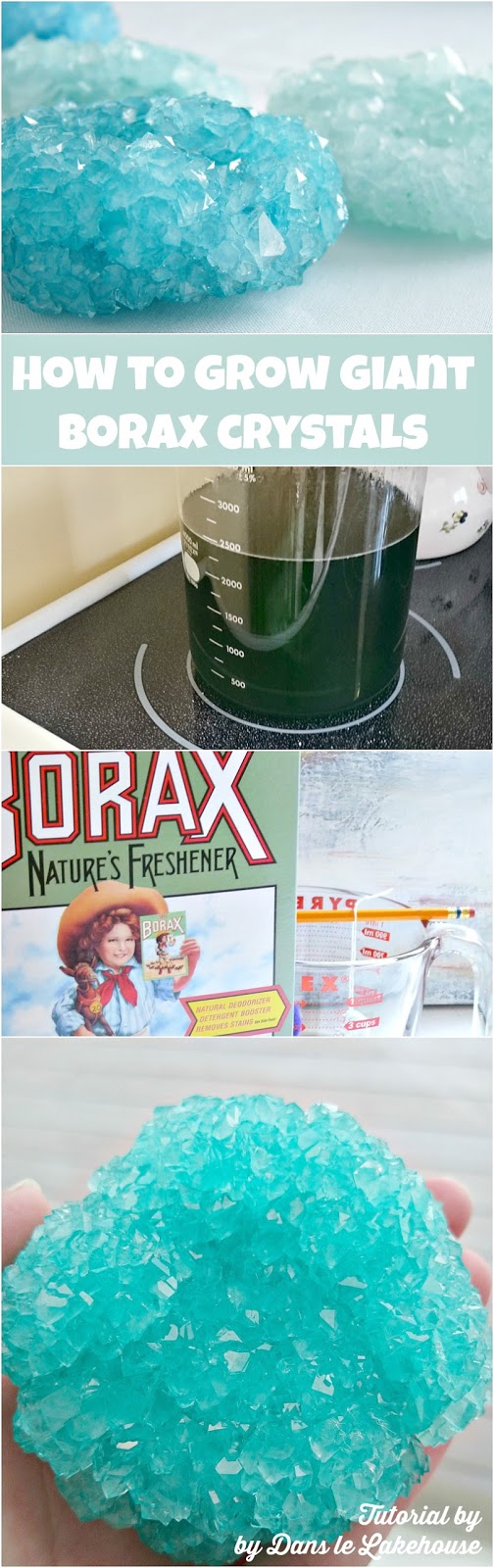 Borax Crystals How to Grow Giant DIY Borax Crystals Dans le Lakehouse