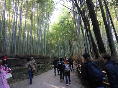 arashiyama, bamboo, bambu, kyoto, jepang, murah, murah, backpacking murah, jalanjalan murah, travelling murah, flashpacking murah, ke Jepang murah