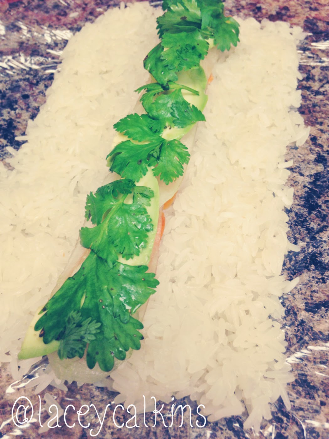 The Life of Lacey A Journey of Health, Fitness and Veggies Seaweed