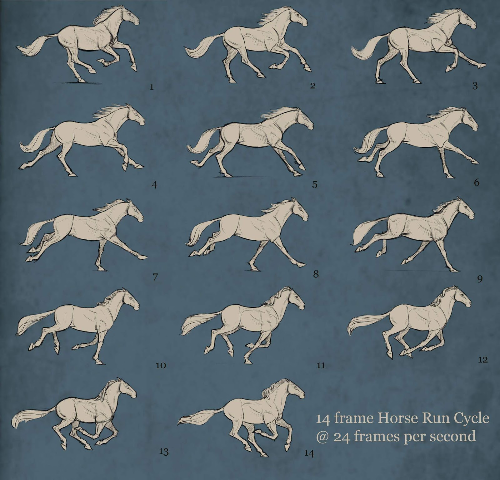 Animopus: Aaron Blaise: Horse Run Cycle Breakdown1600 x 1538