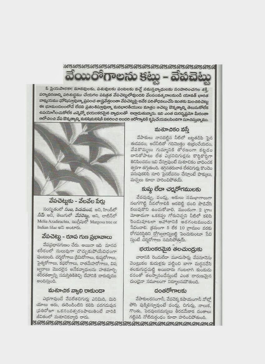 Ivermectin for intestinal worms