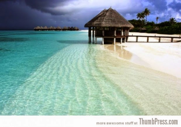 Clear water beaches of Maldives picture