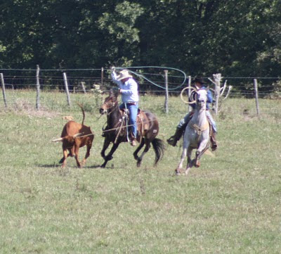 PairADice Mules: Pasture Roping Willard MO