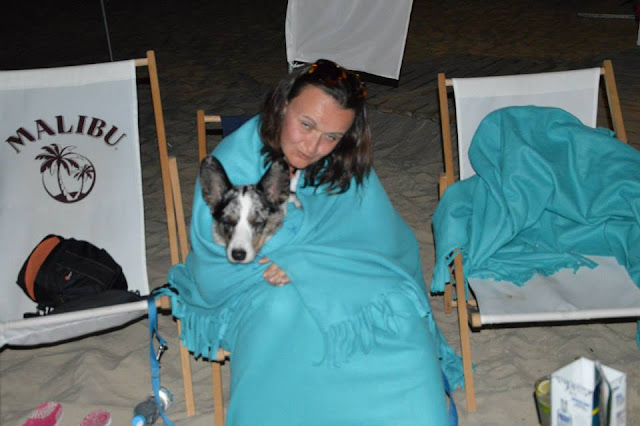 jantar bar na plaży, plażowanie z psem, pies na plaży, biba, pies w podróży, podróże z psem, welsh corgi, welsh corgi cardigan, cardigan