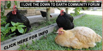 Down To Earth Community Forum