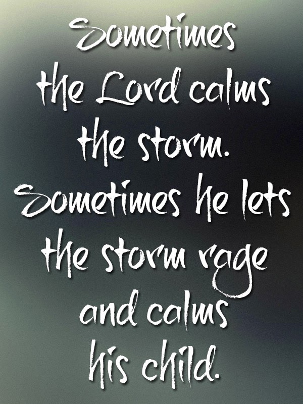 During The Storm Quotes. QuotesGram